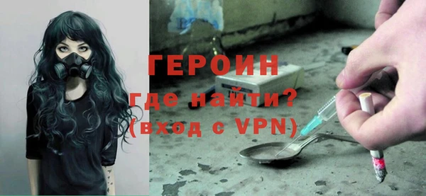 индика Арсеньев