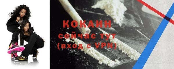 индика Арсеньев