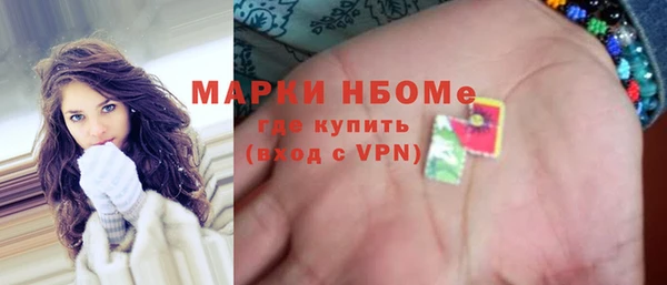 индика Арсеньев