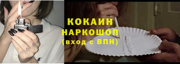 индика Арсеньев