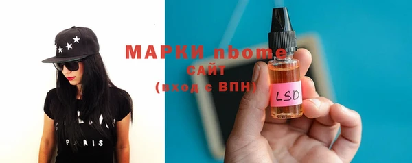 индика Арсеньев