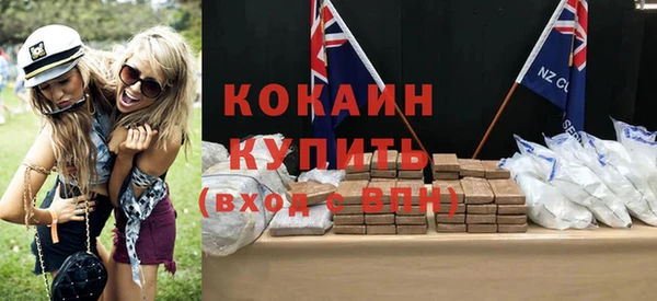 индика Арсеньев