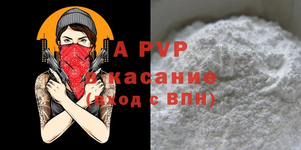 стафф Каменка