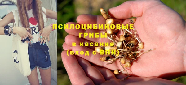 индика Арсеньев