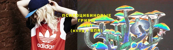 винт Аркадак