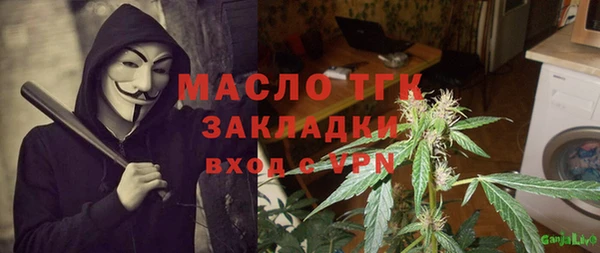 индика Арсеньев