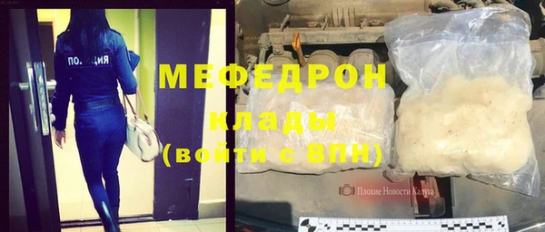 индика Арсеньев