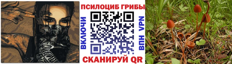 Псилоцибиновые грибы GOLDEN TEACHER  что такое   Порхов 